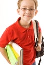 Schoolboy Royalty Free Stock Photo