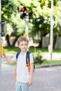 Schoolboy with backpack pressing a button on traffic Royalty Free Stock Photo