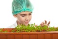 Schoolboy checking new plants in laboratory Royalty Free Stock Photo