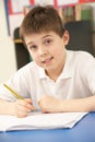 Schoolboy In IT Class Using Computer