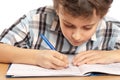 Schoolboy doing homework Royalty Free Stock Photo