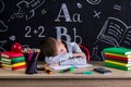 Schoolboy sleeping at the desk with a head leaned on the hands, surrounded with school supplies. Chalkboard as a Royalty Free Stock Photo