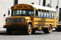 Schoolbus Royalty Free Stock Photo