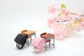 Schoolchild`s rucksacks and cherry blossoms on white background. Royalty Free Stock Photo