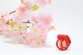 Schoolchild`s rucksacks and cherry blossoms on white background. Red randoseru. Royalty Free Stock Photo