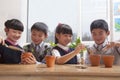 Schoolchildren planting plants into flowerpots in the classroom