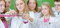 Schoolchildren in science class Royalty Free Stock Photo