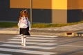 schoolgirl crosses the road at a pedestrian crossing Royalty Free Stock Photo