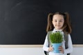 Schoolgirl girl with a briefcase near the school blackboard stands with a flower. Chalk board and place for text