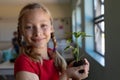 Schoolgirl standing holding a seedling plant in earth in an elementary school classroom Royalty Free Stock Photo