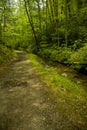 Schoolhouse Gap Trail, Spring