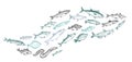 Schooling fish graphic illustration Royalty Free Stock Photo