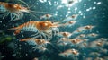 Schools of shrimp in the open sea