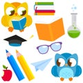School objects and cute owls. Vector illustration
