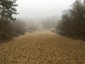 Schoorl sand dune on a foggy day Royalty Free Stock Photo