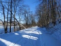 Schug Trail a rail trail by Dryden Lake in the winter snow