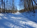 Rail trail from Dryden to Dryden Lake during winter