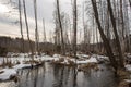 Schukin meadow Royalty Free Stock Photo