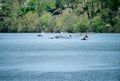 Schuylkill River Regatta competition Royalty Free Stock Photo