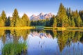 Schwabacher Landing at Daybreak Royalty Free Stock Photo