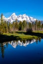 Schwabacher Landing in the early morning in Grand Teton National Park, Wyoming, with mountain reflections on the Snake River Royalty Free Stock Photo