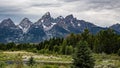 Schwabacher Landing in the Grand Tetons Royalty Free Stock Photo