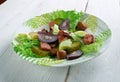 Schwabischer Wurstsalat Royalty Free Stock Photo