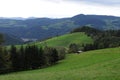 Schwarzwald