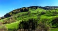 Schwarzwald mountains spring view, sunny day