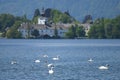 Swans in front of the Ort Castle
