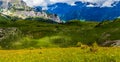 Schynige Platte, Switzerland. Royalty Free Stock Photo