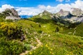 Schynige Platte, Switzerland.