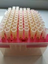 Pipette tips with rack for experiment Royalty Free Stock Photo