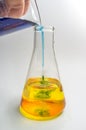 Science Beaker Experiment Royalty Free Stock Photo