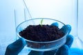 Science, biology, ecology, research and people concept - close up of scientist hands holding petri dish with plant and soil sample