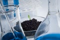 Science, biology, ecology, research and people concept - close up of scientist hands holding petri dish with plant and soil sample