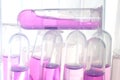 Science biology medical test tube Royalty Free Stock Photo