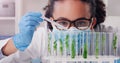 Science, biotechnology and plant with woman in laboratory for medical, pharmacy or research. Chemical, botany and Royalty Free Stock Photo