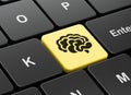 Science concept: Brain on computer keyboard background Royalty Free Stock Photo