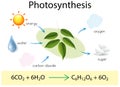 A Science Education of Photosynthesis Royalty Free Stock Photo