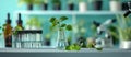 Science, environment and biotechnology concept. Growing and studying plants in laboratory Royalty Free Stock Photo