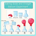 Science experiment with baking soda and vinegar balloon Royalty Free Stock Photo