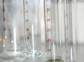 Science graduated cylinder Royalty Free Stock Photo