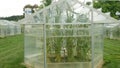 Science greenhouse research open top chambers climate change, corn maize Zea mays ear, scientific on genetics and genes