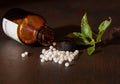 The Science of Homeopathy
