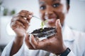 Science laboratory, black woman and plants in Petri dish for agriculture study, sustainability research and food