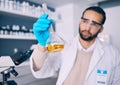 Science laboratory, chemical analysis and man check medicine progress, lab research or medical development. Chemistry Royalty Free Stock Photo