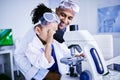Science, microscope and dad with child in laboratory for medical research, chemistry and education. Healthcare, family