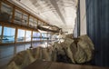 Science Museum of the University of Coimbra. Whale skeleton