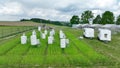 Science station scientific monitoring measurement respiration wheat common agriculture field Triticum aestivum soil